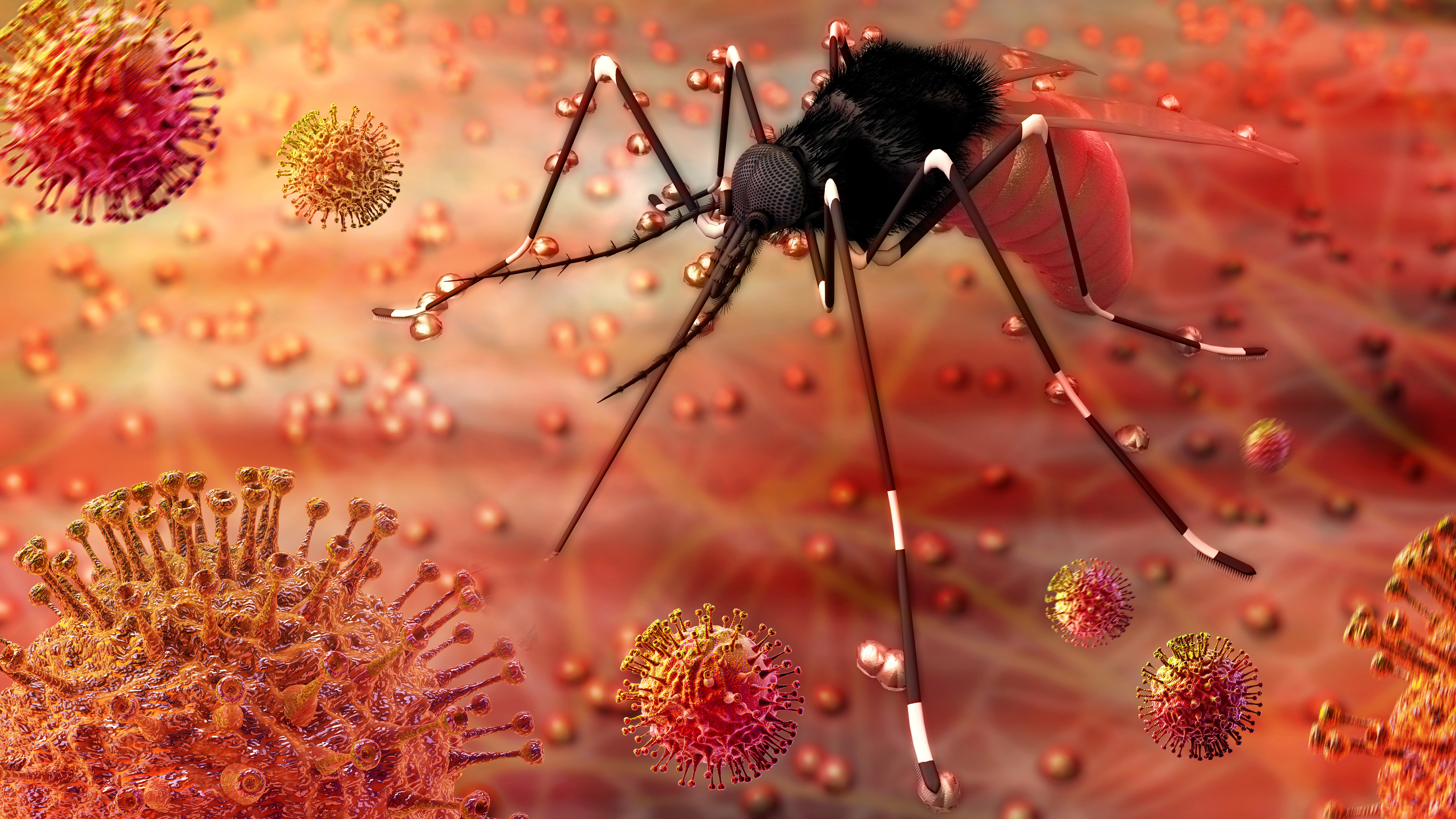 Don’t be a mosquito magnet