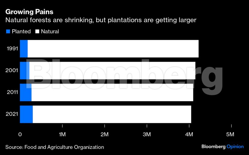 A graph showing plantation growth.
