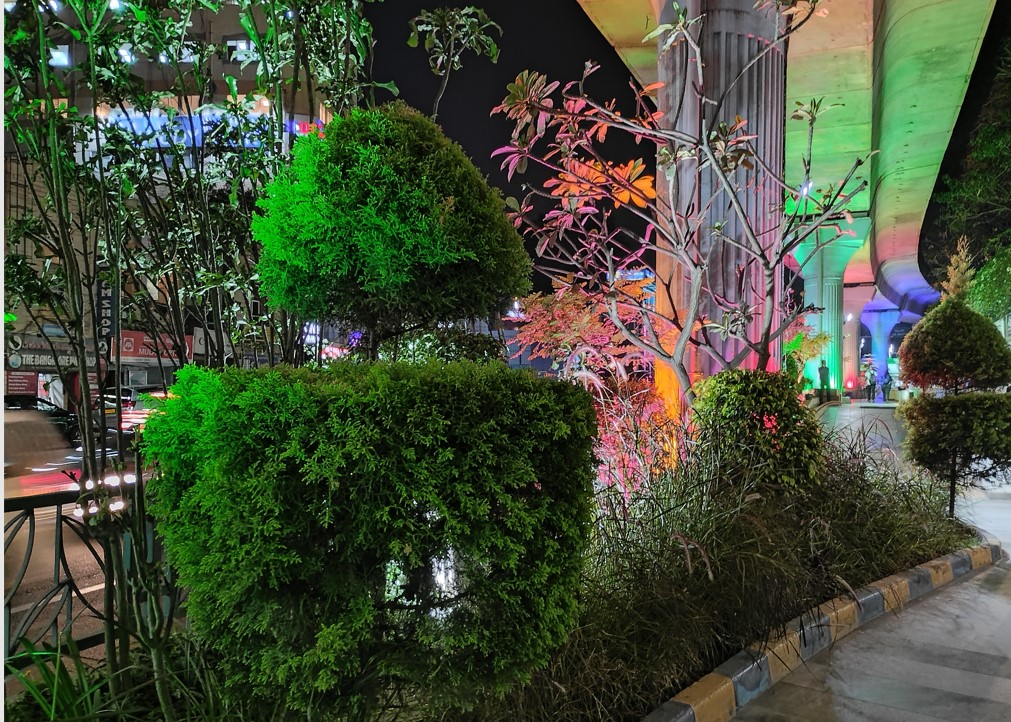 Motorola Moto G34 5G's camera sample.