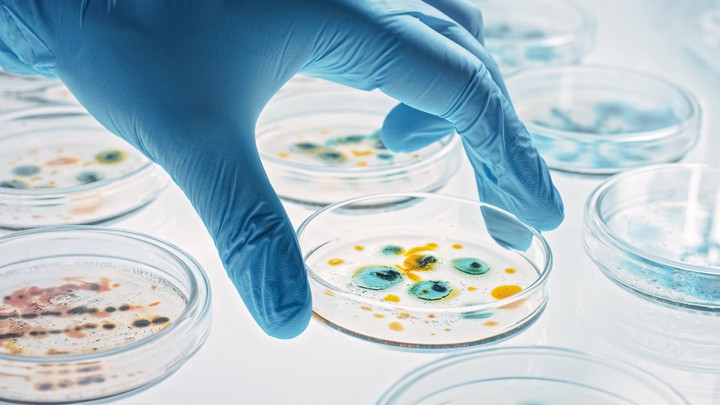 'Zombie' virus threat: Scientists warn of terrifying new pandemic