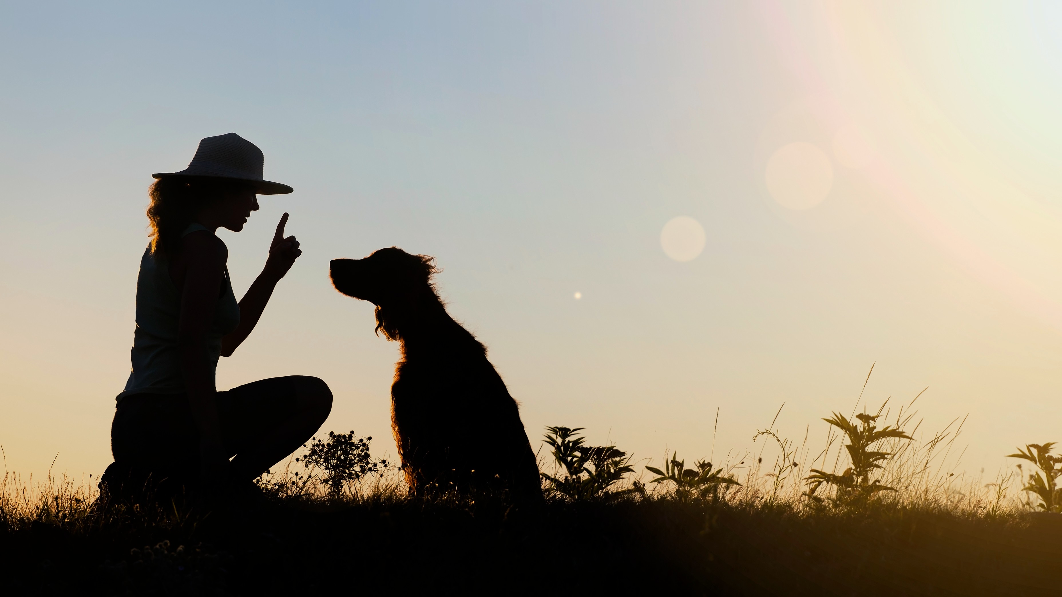 Training dogs can be your full-time job