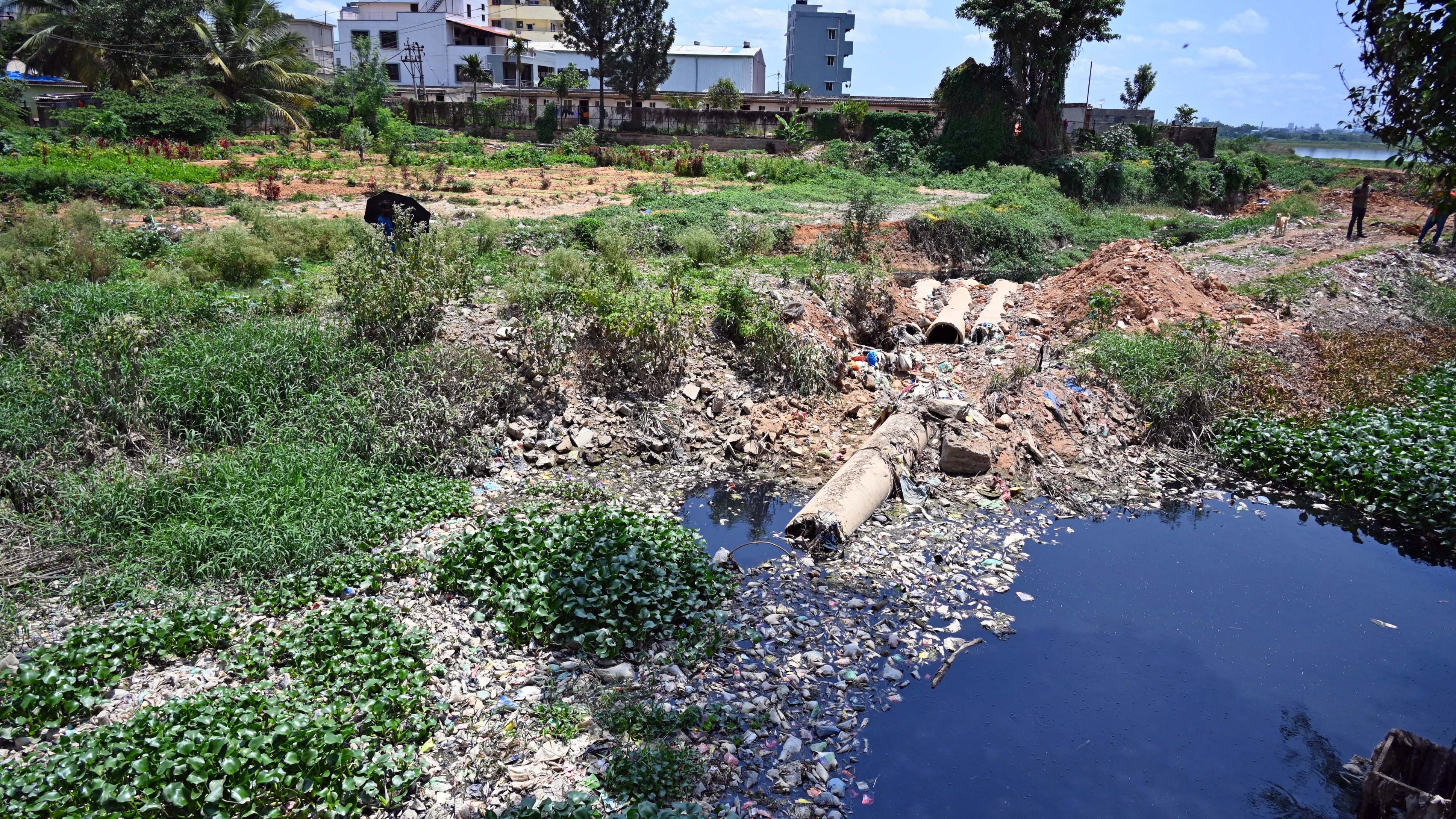 Bengaluru: Lake funding dries to Rs 35 crore