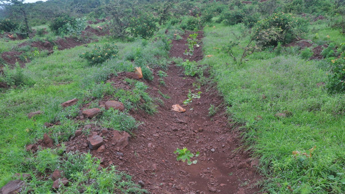 After 60 years, forest dwellers in Chamarajanagar may finally own land