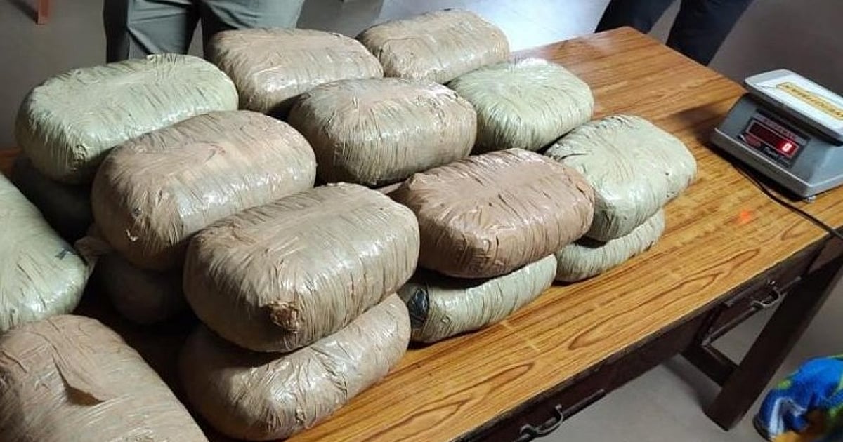Parcels containing hybrid ganja sourced from dark web seized at Ahmedabad post office