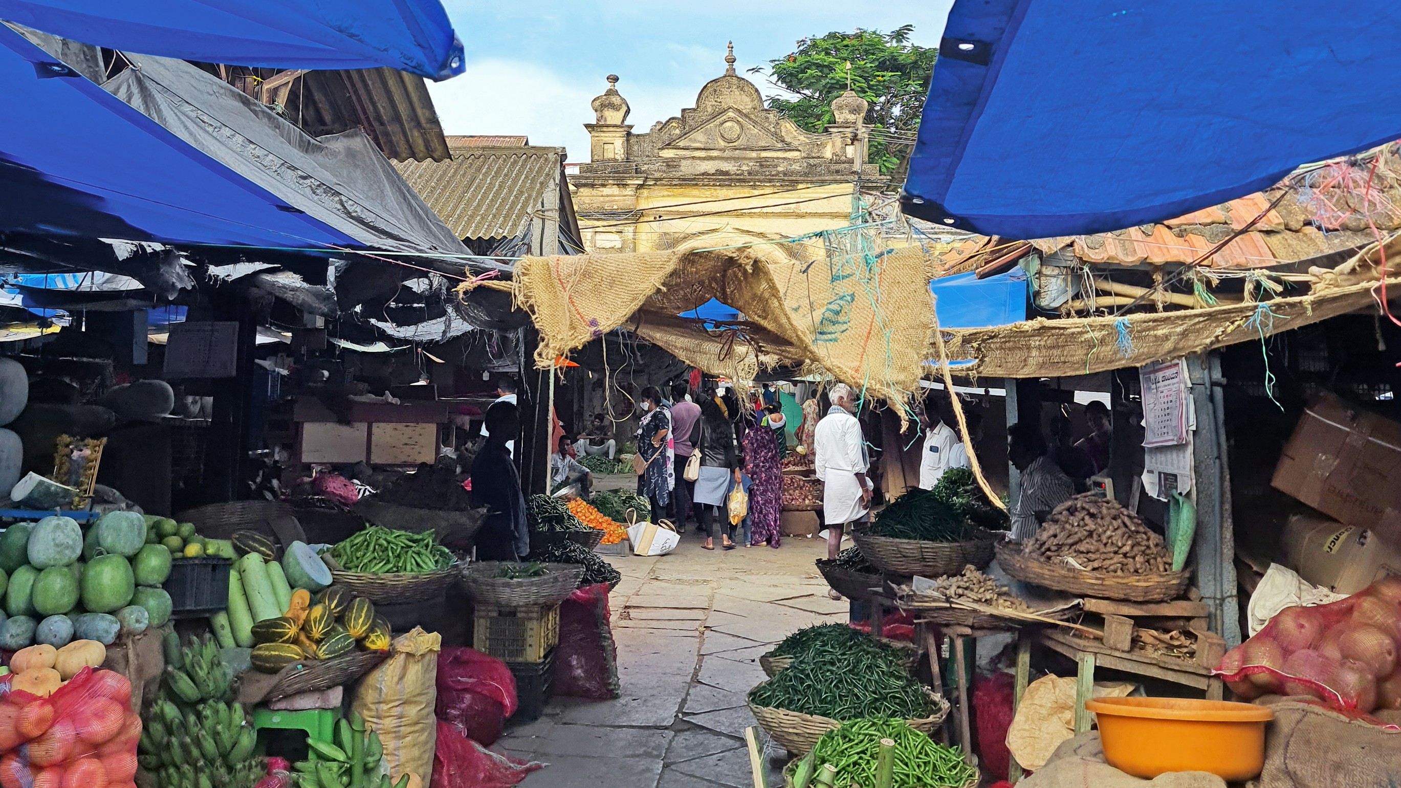 Stepping up for heritage: Mysuru's active community
