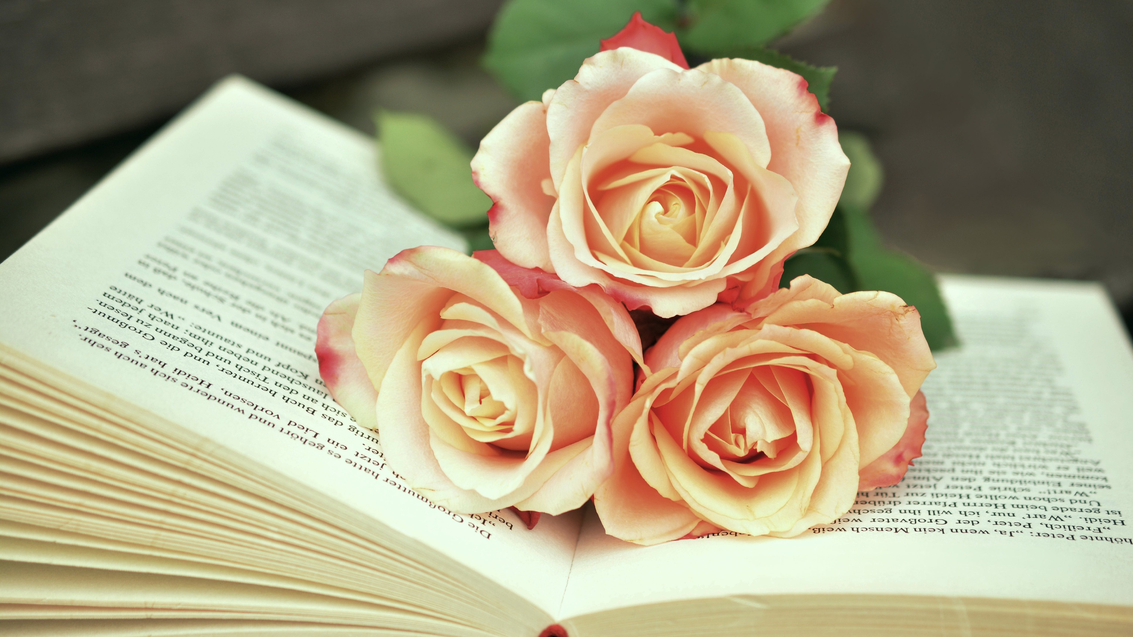 Valentine's Day 2024: Novels that could make your partner feel the Love