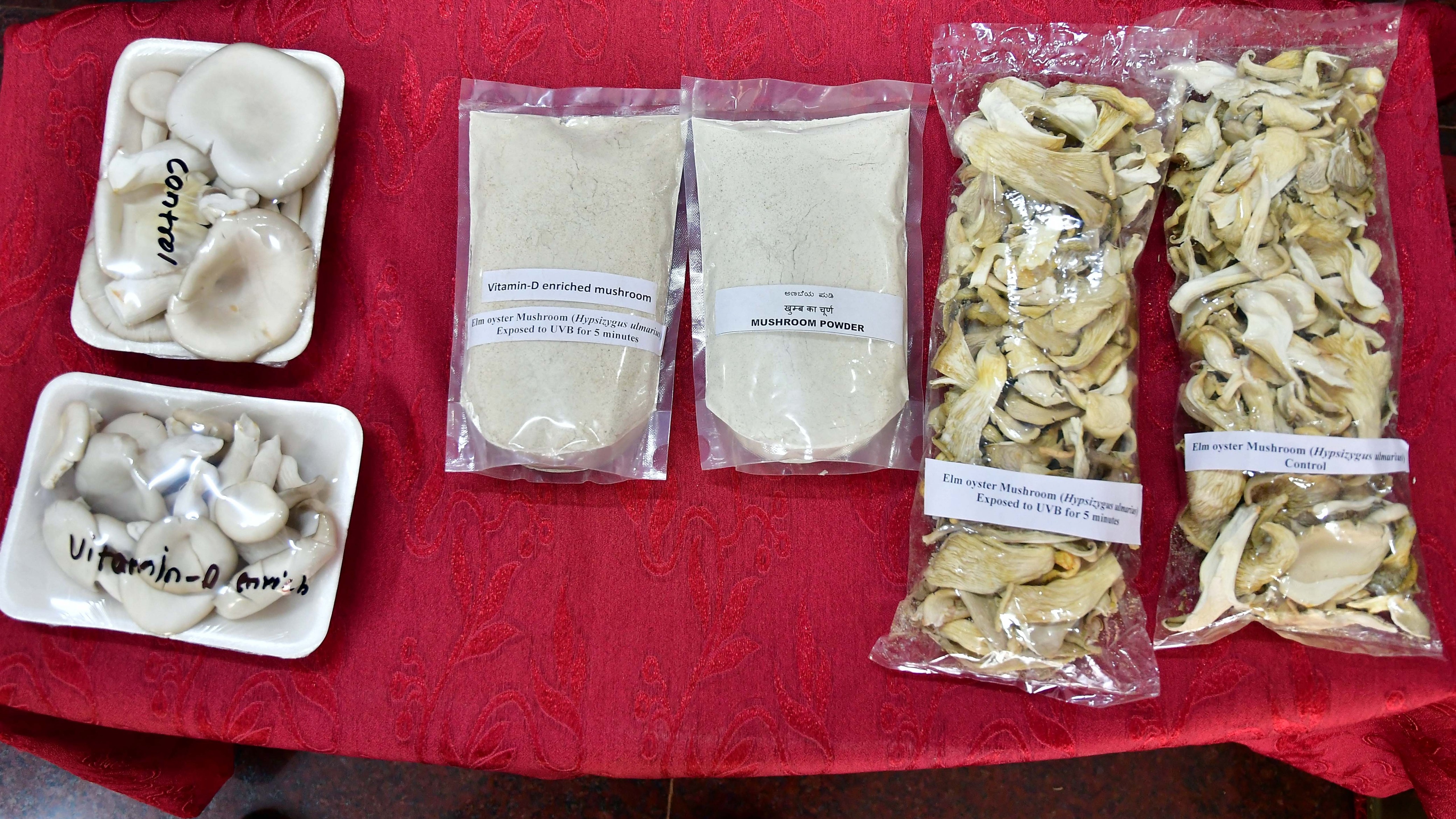 New invention: Ultraviolet tech boosts Vitamin D content in mushrooms  