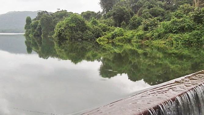 Mumbai: SGNP tunnel to affect biodiversity, say experts