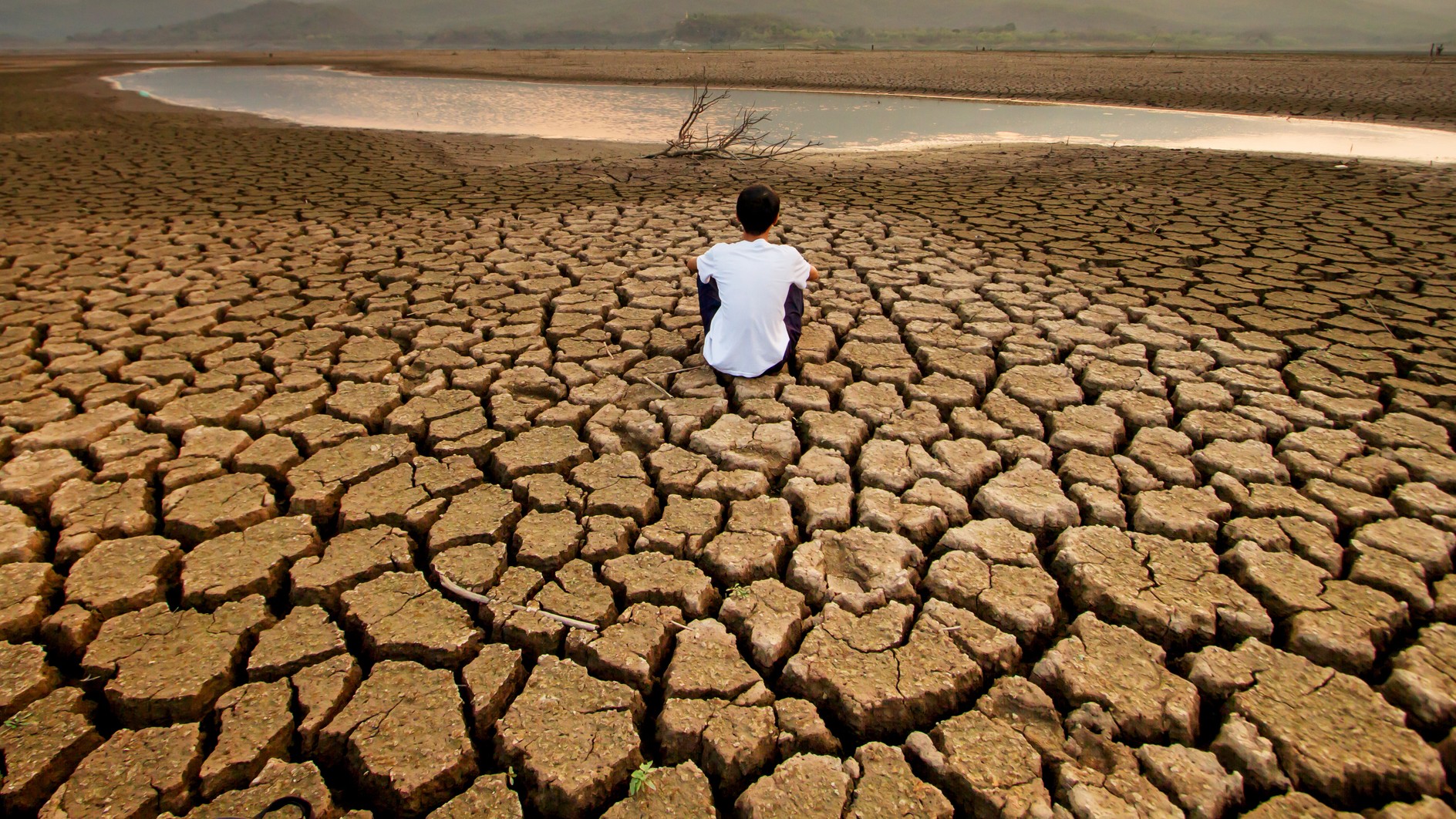 The parched reminiscence 