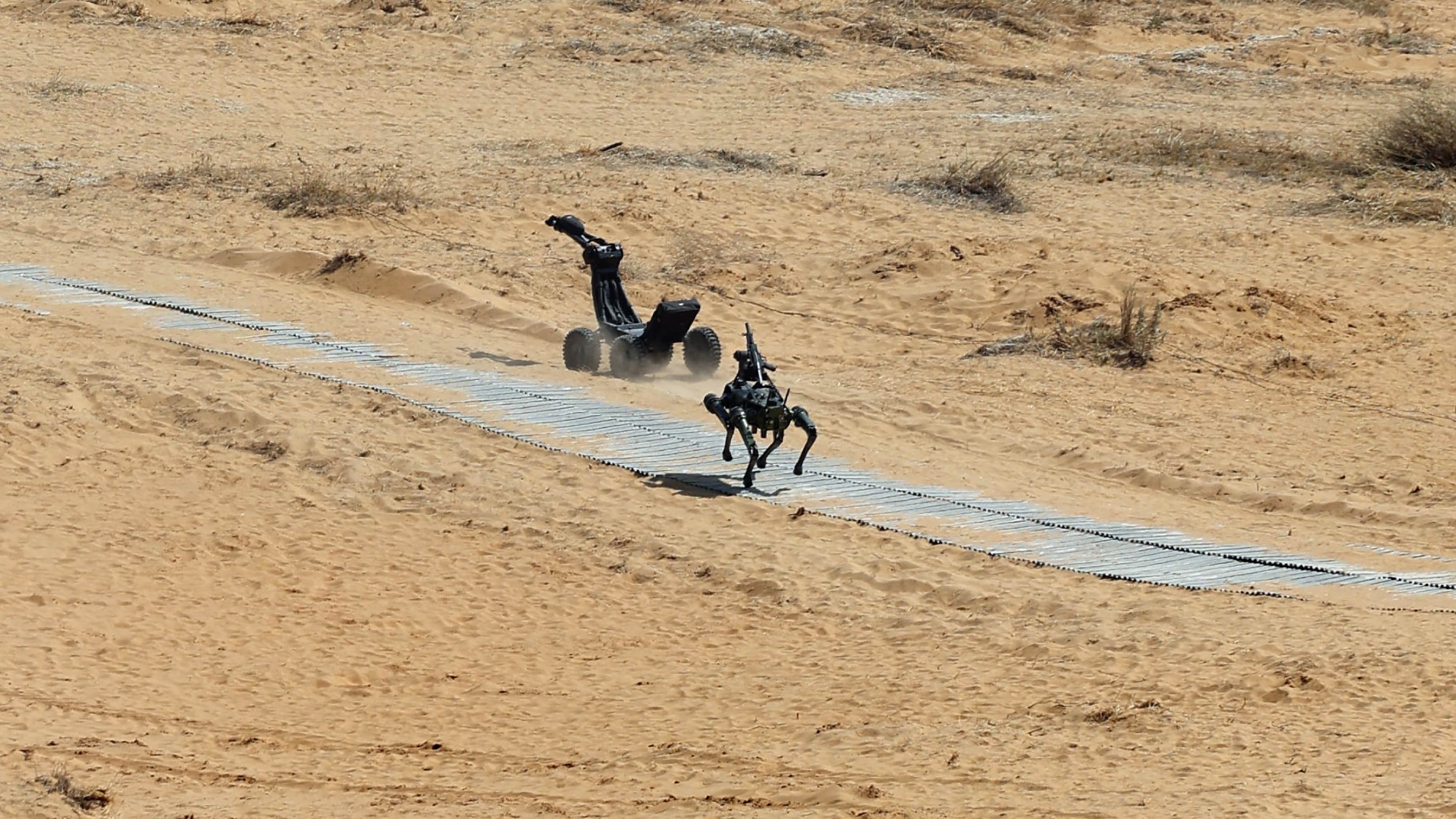 A demonstration during the 'Bharat Shakti' exercise at  Pokhran, Rajasthan.
