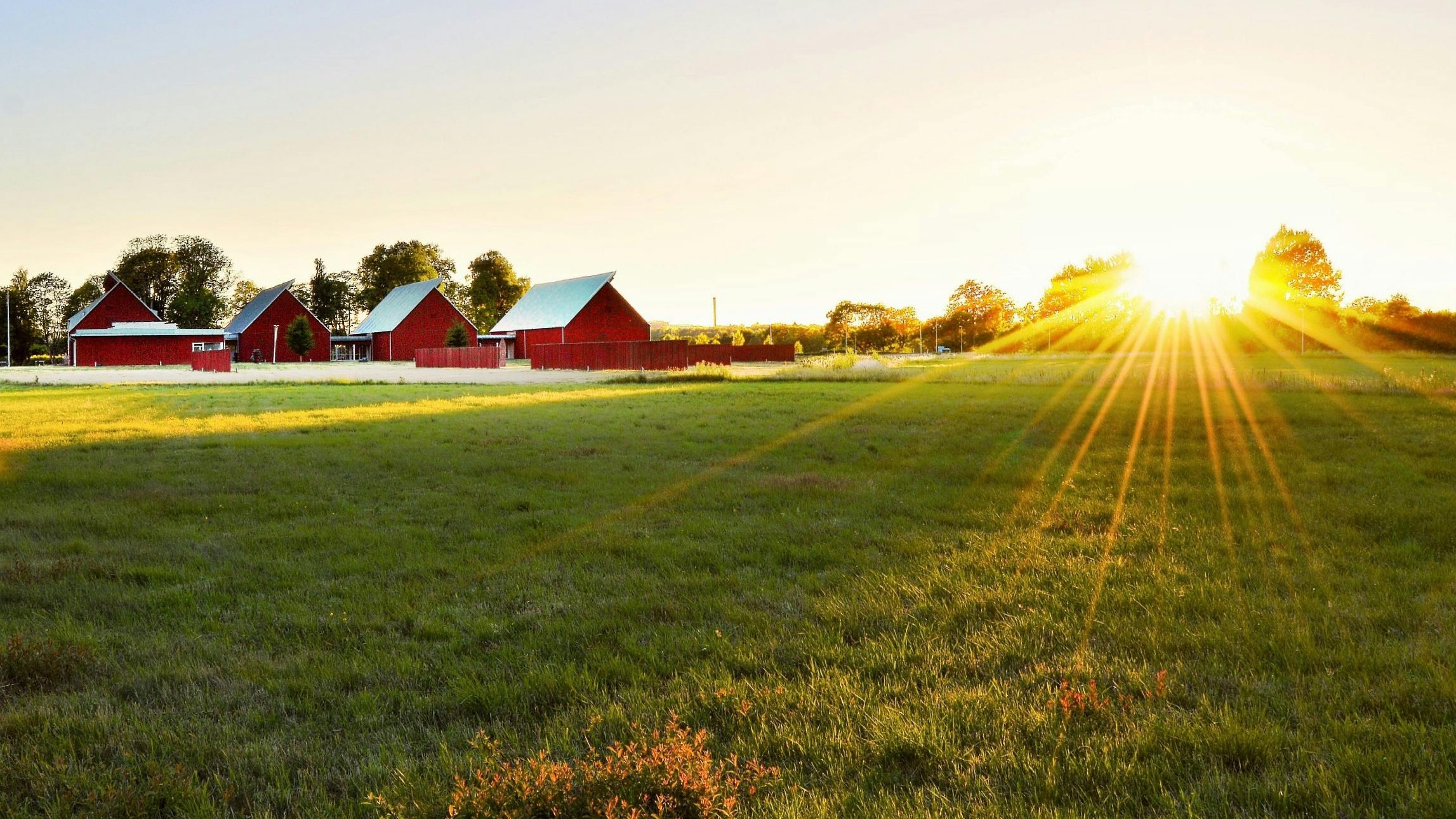 Sweden: Renowned for its emphasis on work-life balance and excellent healthcare, Sweden consistently ranks high in the happiness Index. The country has grabbed fourth position in the 2024 World Happiness Report.