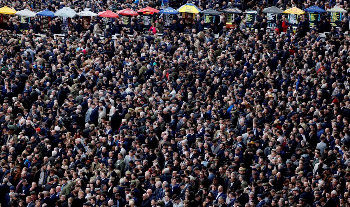 Horse Racing - Cheltenham Festival - Cheltenham Racecourse, Cheltenham, Britain - March 12, 2024