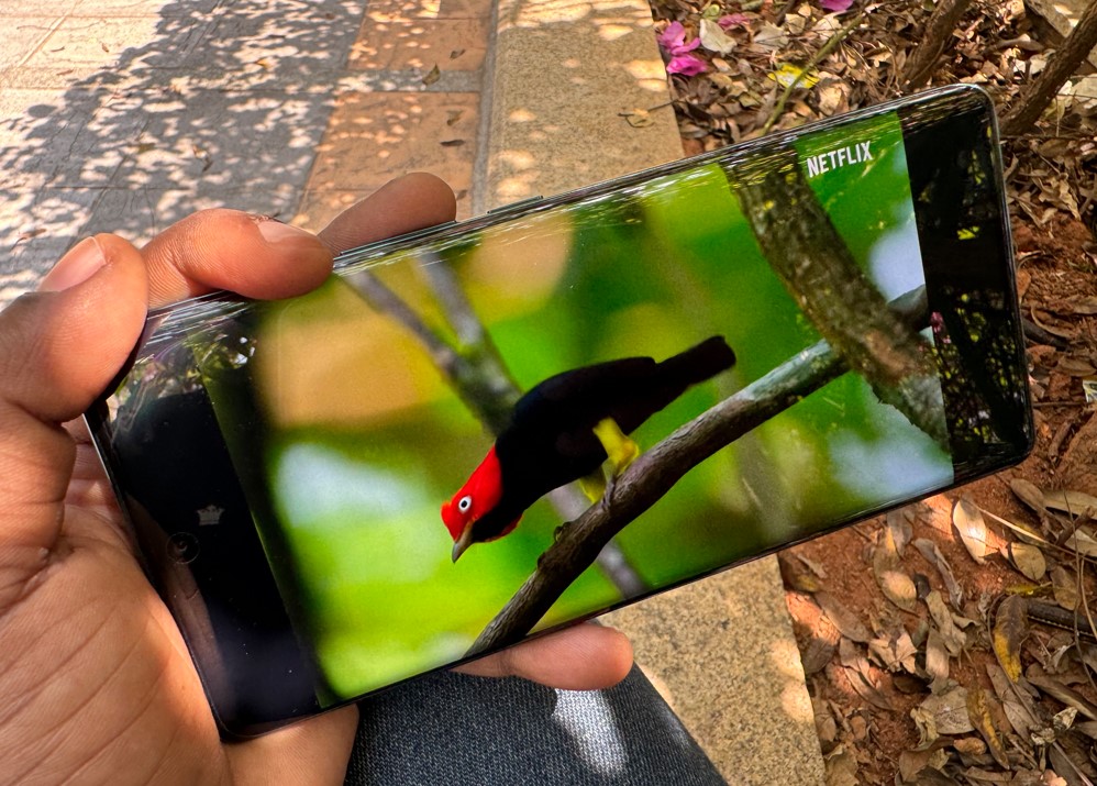 Vivo V30 5G series