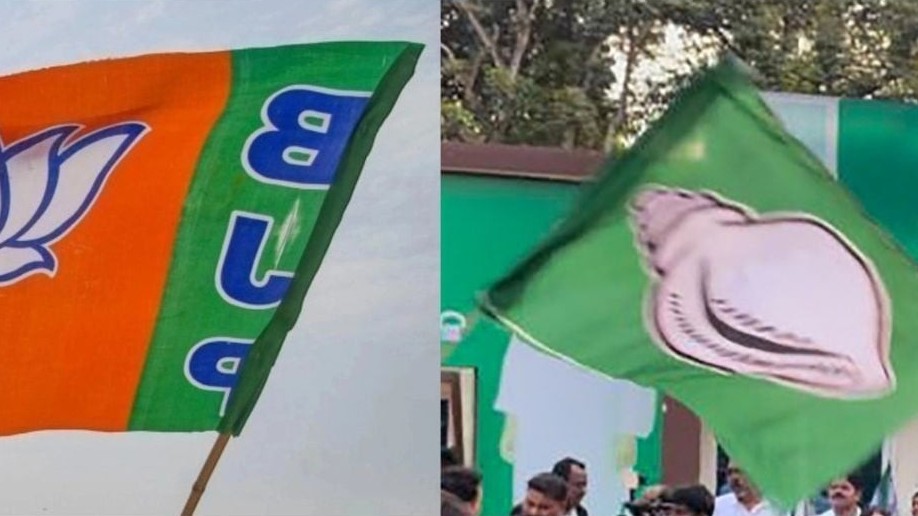 12 members of royal families contesting Assembly, Lok Sabha polls in Odisha