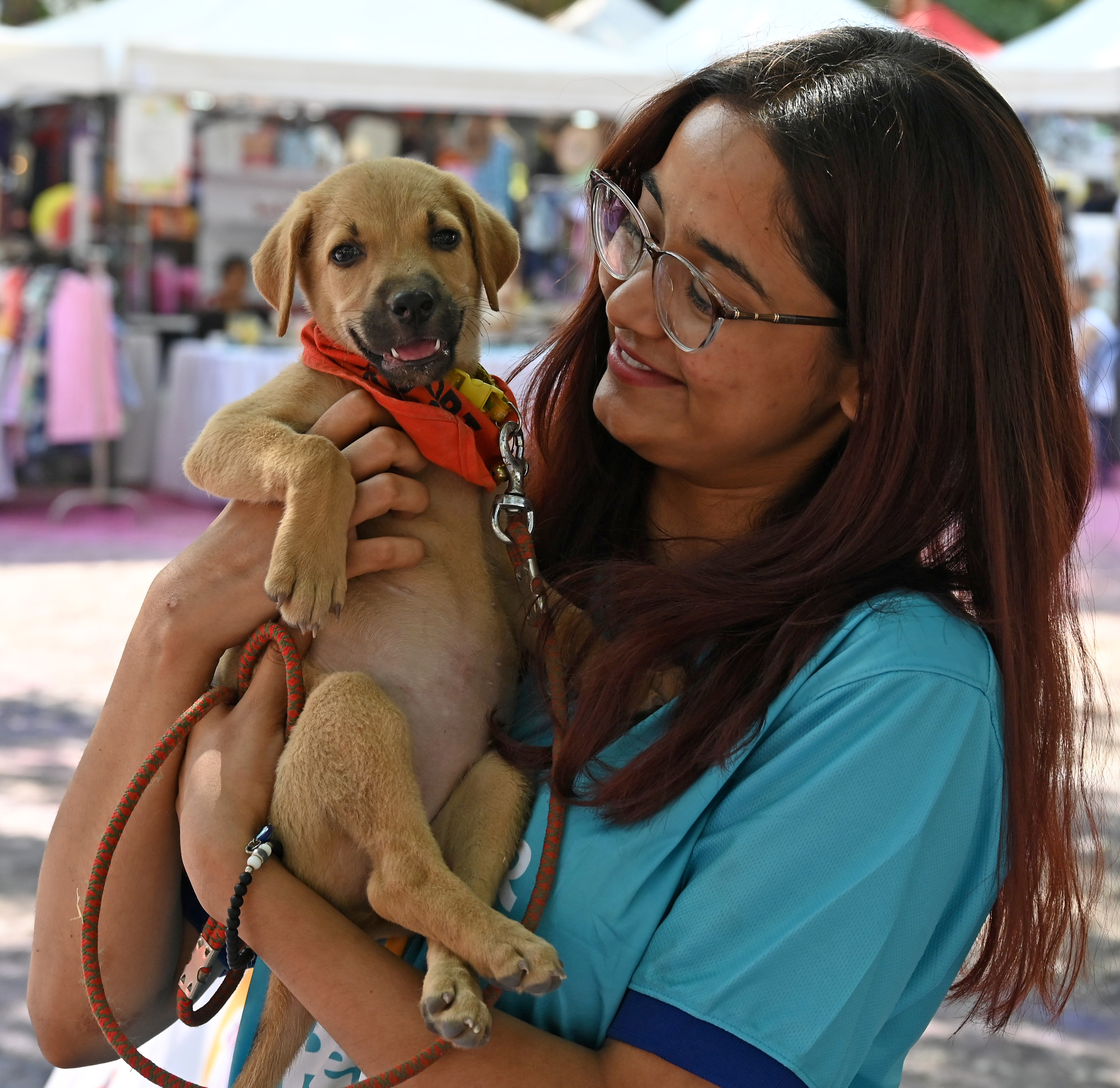 Pet owners and animal lovers at Jayamahal Palace in Bengaluru on Sunday to attend Pet Fiesta.