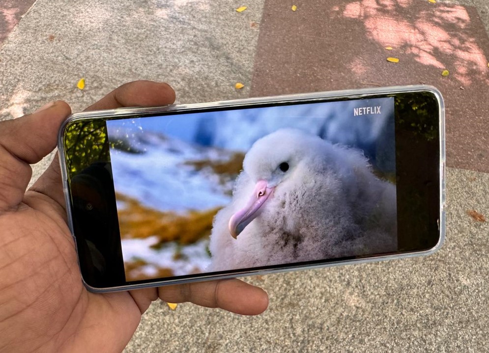 Motorola Moto G64 5G series.