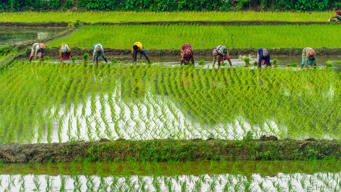 What is meaningful work? A philosopher’s view