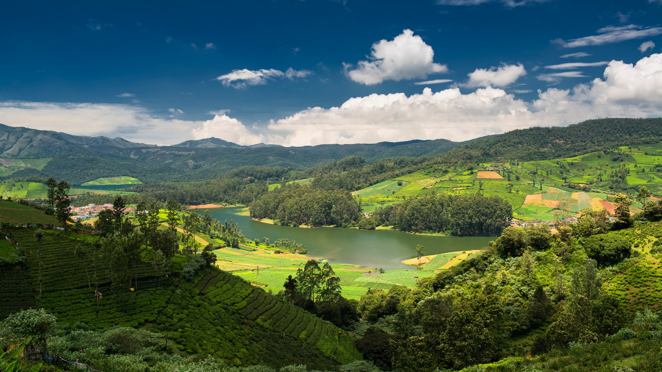Mercury peaks on Ooty's mountains, new April high