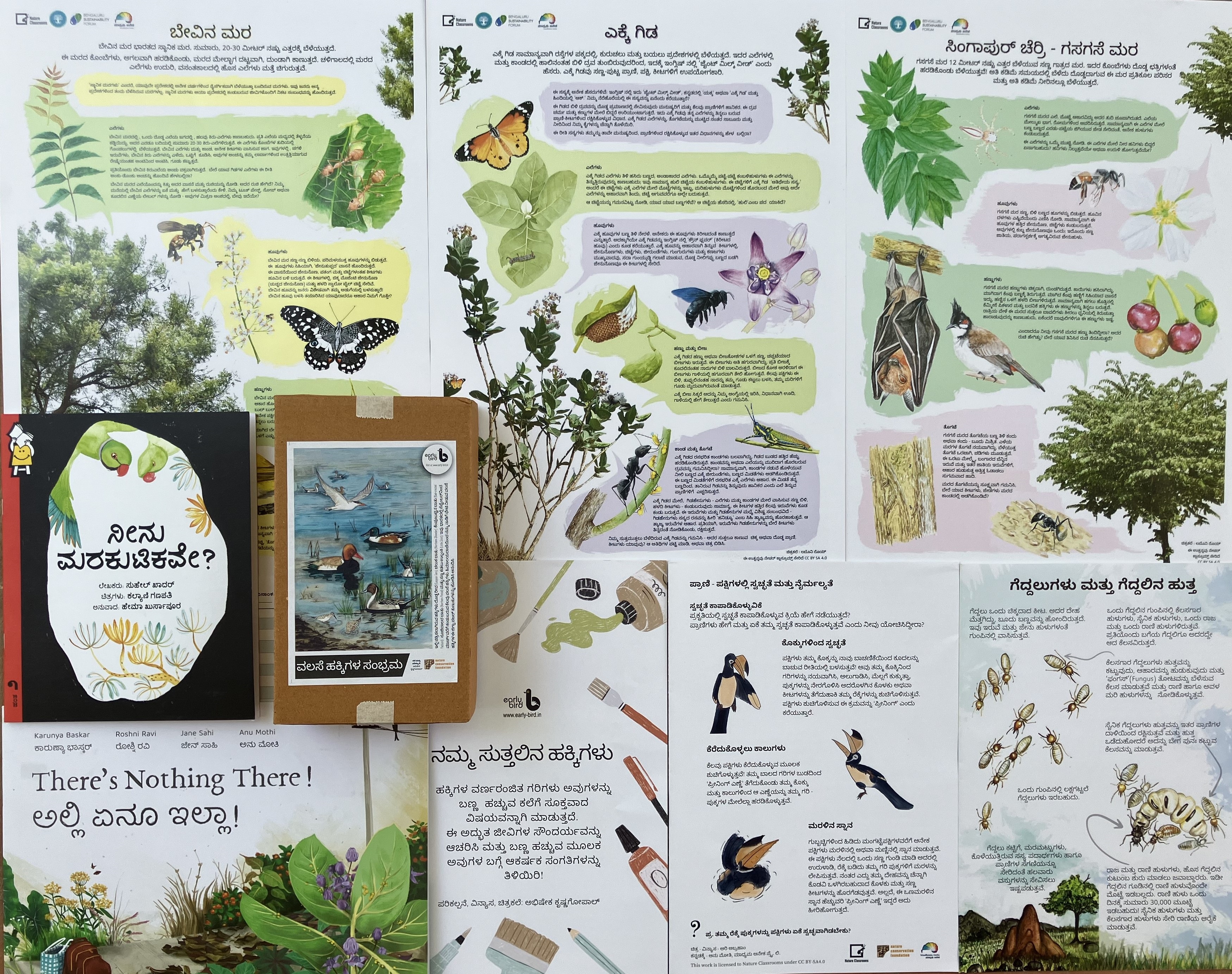 Librarians workshop_Nature journalling