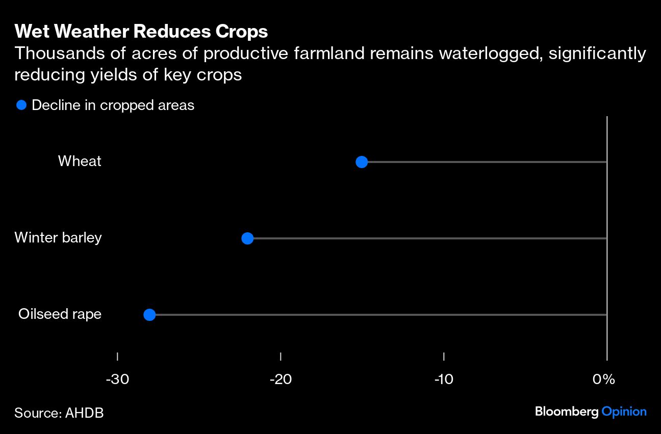 <div class="paragraphs"><p>Credit: AHDB/Bloomberg</p></div>