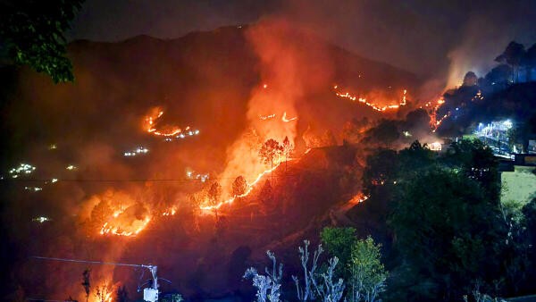Glaring lack of infrastructure in Uttarakhand to manage forest fires: Amicus curiae report to NGT