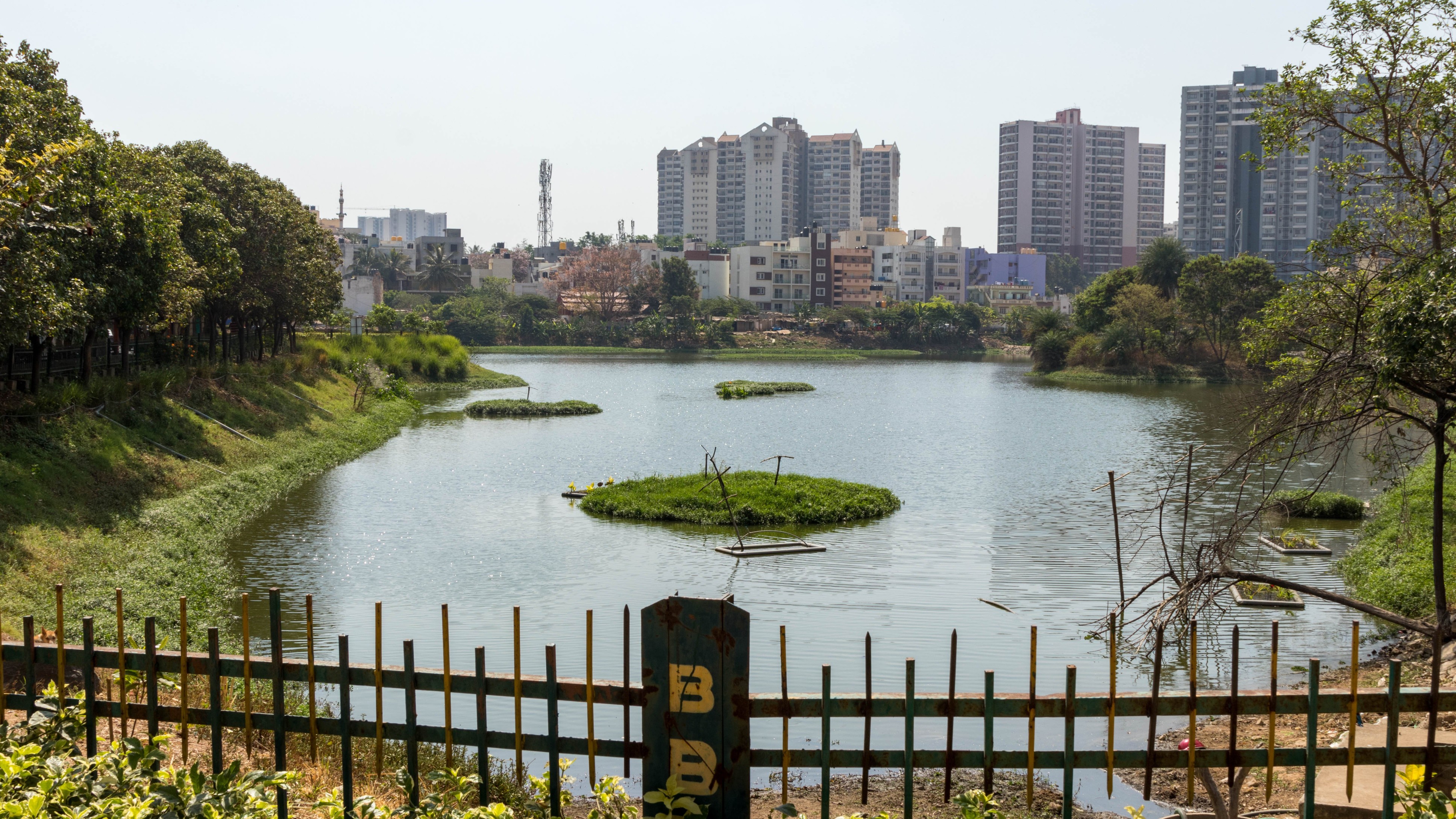 Rejuvenating Puttenahalli Lake