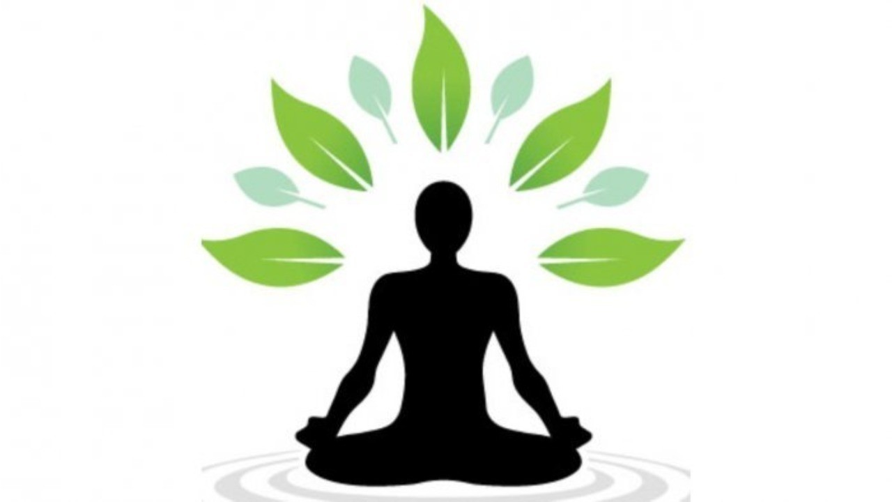 Gita's guide to mental equanimity