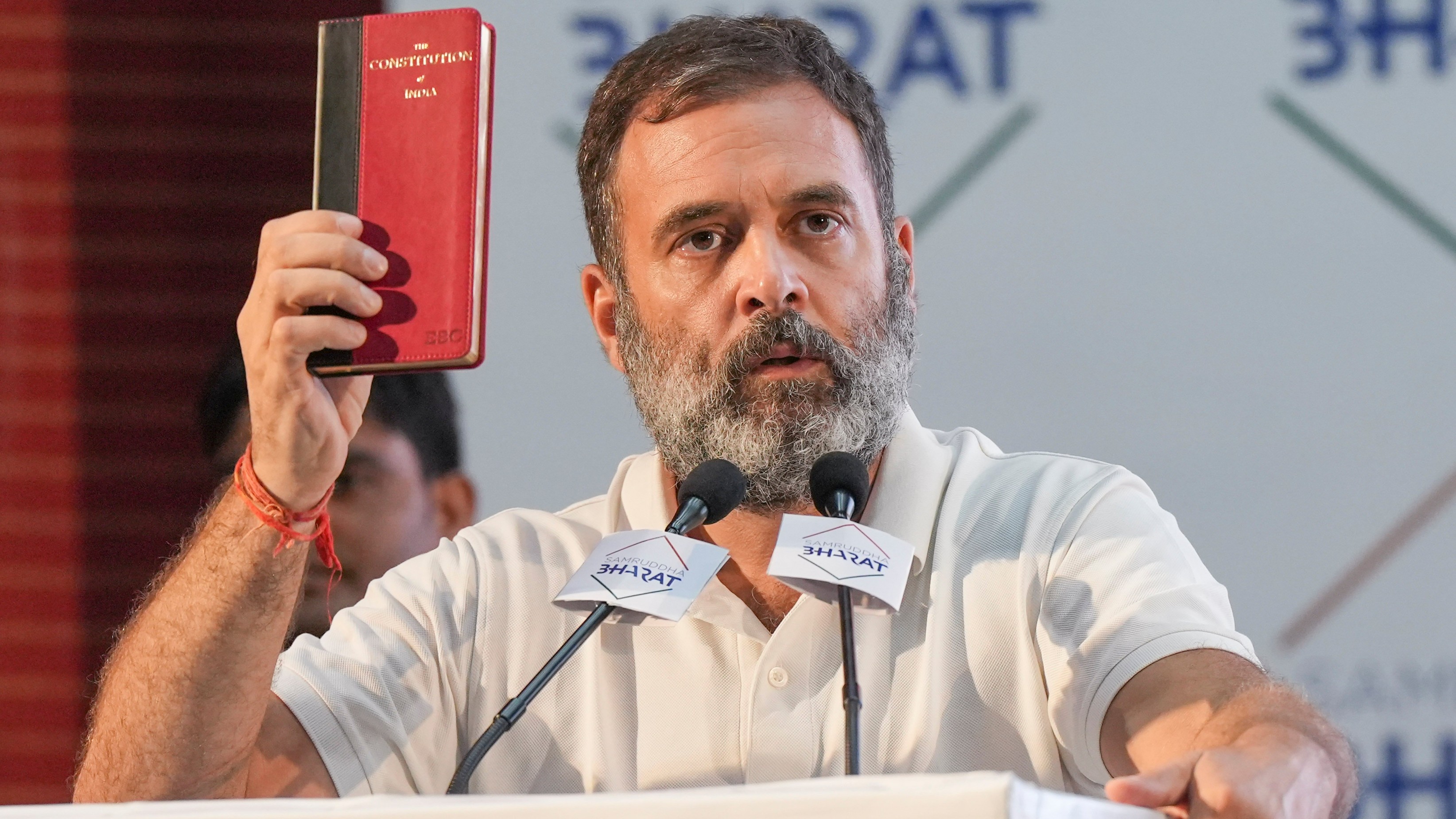 Lok Sabha Elections 2024: Rahul Gandhi calls PM Modi 'puppet king' of 'tempo billionaires'