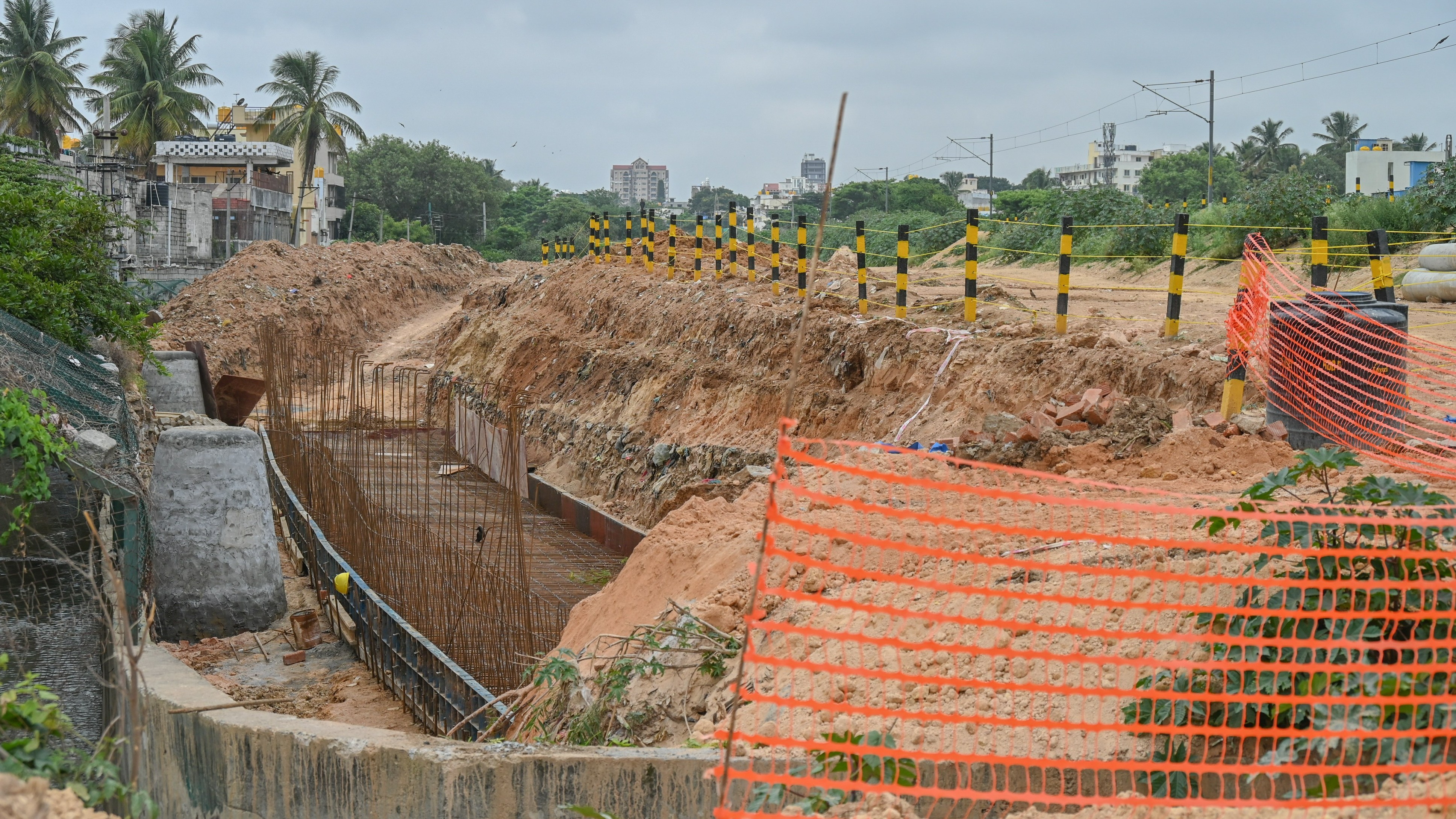 32,572 trees to make way for suburban rail project in Bengaluru