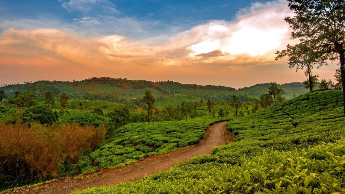 Sakleshpur: Located in the Hassan district of Karnataka, Sakleshpur is a blend of heritage, nature, adventure, and history. Known for its lush greenery and serene atmosphere, this place makes it a perfect destination for all segments of travellers. One can also explore the nearby waterfalls and enjoy a picnic close to the nature.