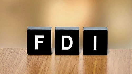 FDI norms in certain sectors likely to be eased under new government: DPIIT Secretary