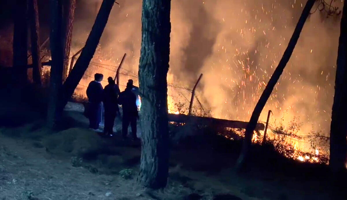 3 labourers killed in forest fire in Uttarakhand's Almora, smog engulfs Nainital