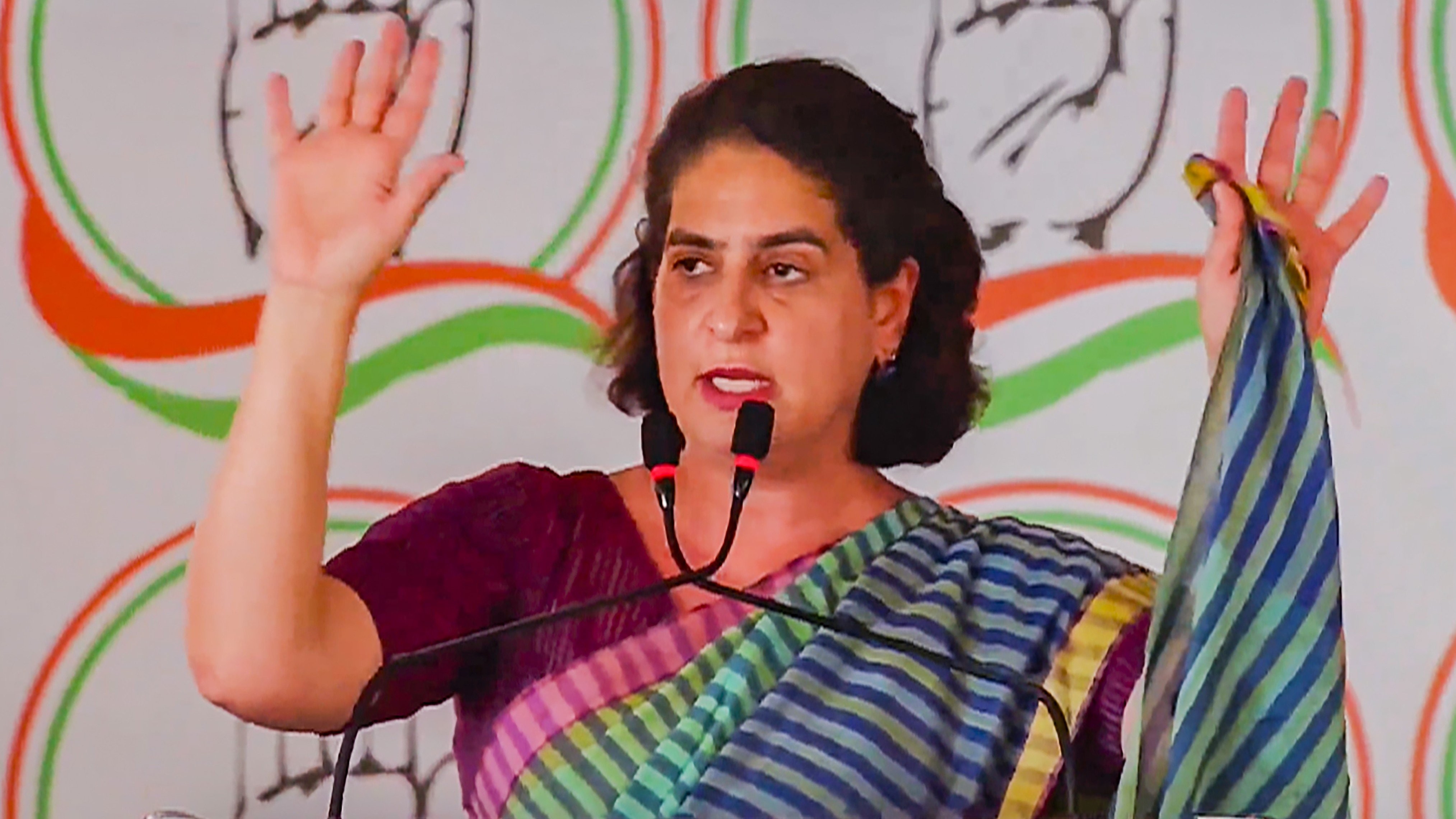 Lok Sabha Elections 2024: Entire BJP engaged in spreading lies against Rahul, says Priyanka Gandhi