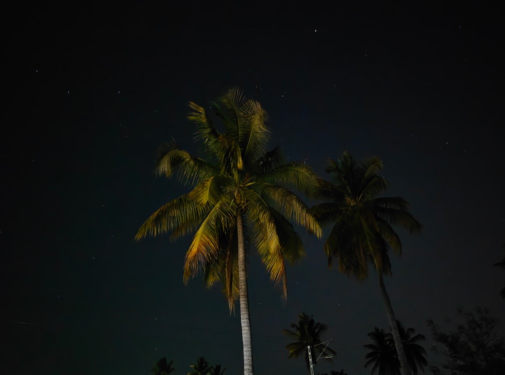 Oppo Find X7 Ultra's camera sample with night mode on.