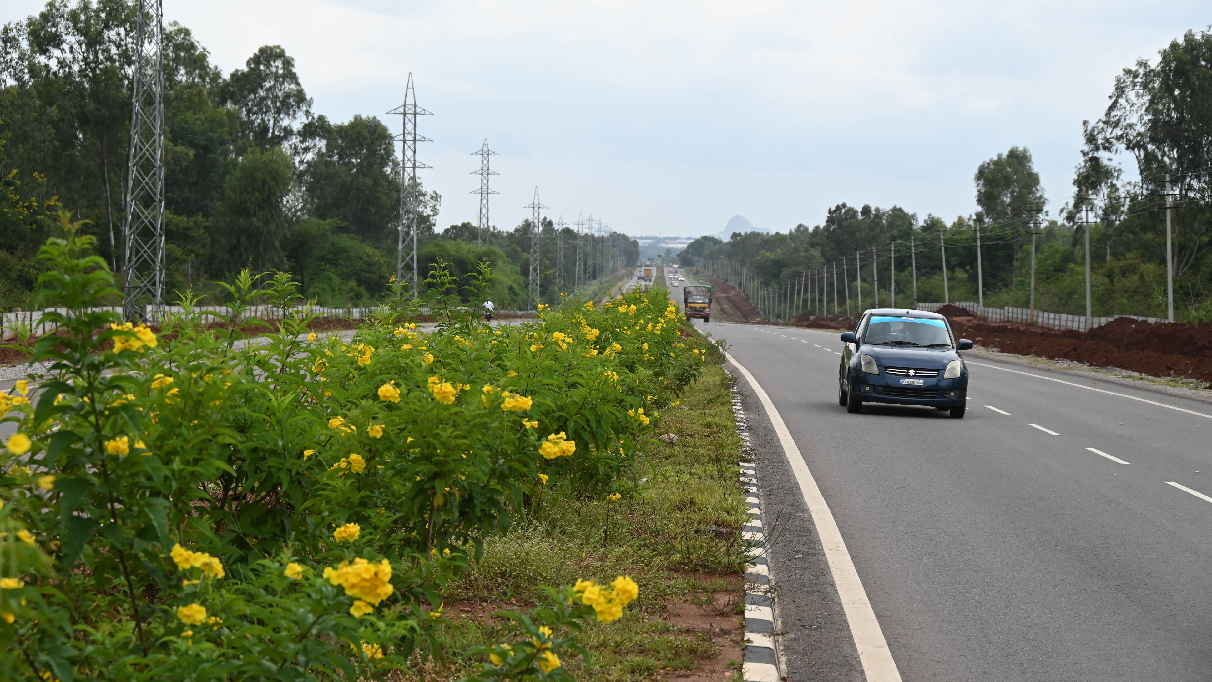 BBMP to spend Rs 3.4 crore to plant 10,900 saplings along Satellite Town Ring Road