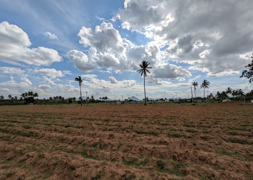 Google Pixel 8a's camera sample with ultra-wide angle mode.
