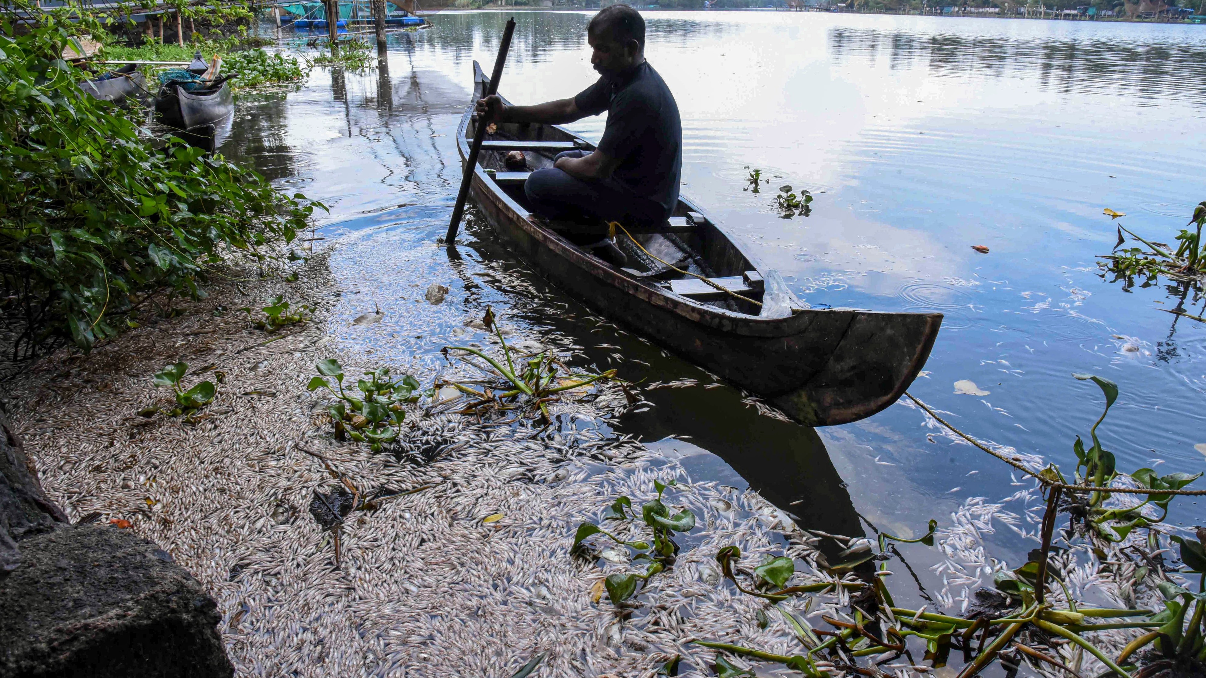 Private company booked for polluting Periyar river in Kerala  