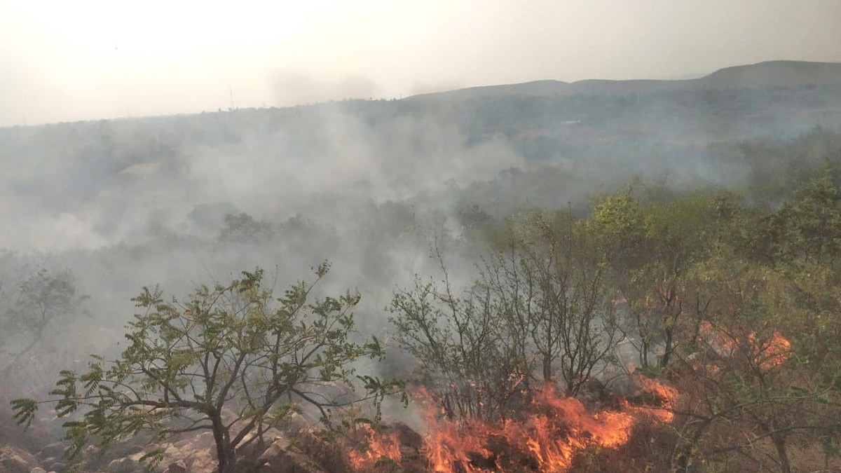 Despite prolonged dry spell, Karnataka sees decline in forest fires