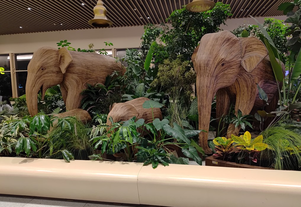 Samsung Galaxy F55's camera sample.