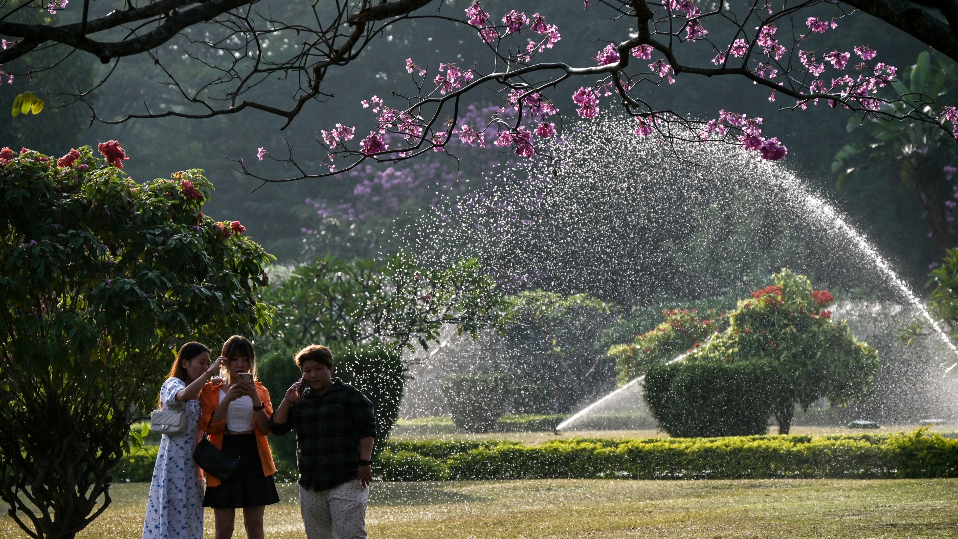Located in the heart of the city, Cubbon Park is one of the lively spaces that allows people to relax and enjoy themselves. One the oldest parks in the country this park offers lush greenery, walking paths, and ample space to hang out, making it a popular choice for families and friends.