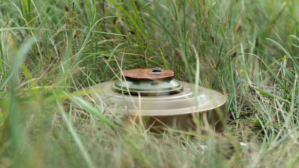 Army recovers landmine along LoC in Jammu and Kashmir's Poonch
