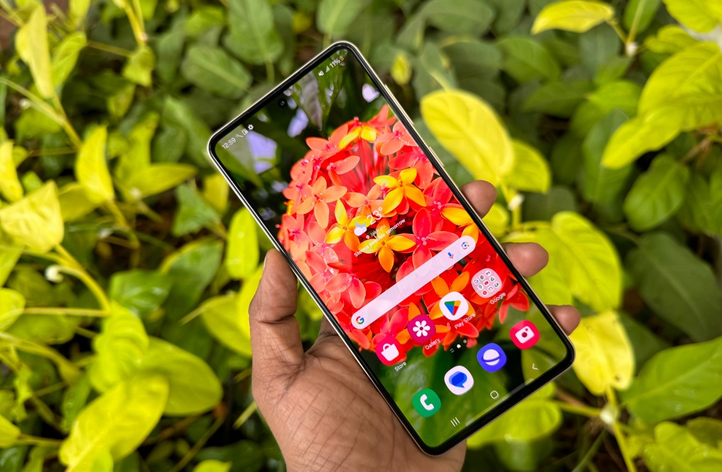 Samsung Galaxy F55 series.