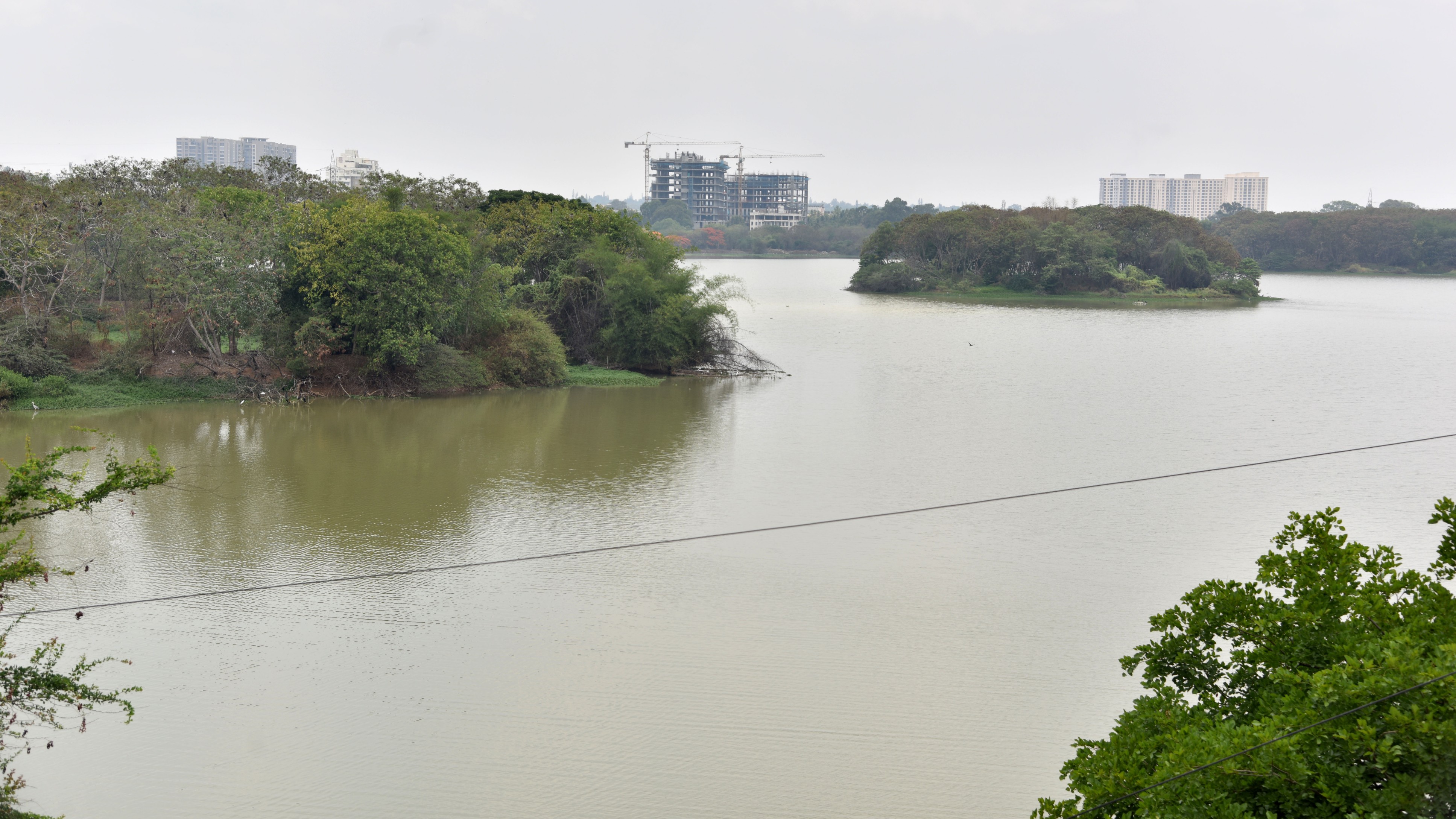 Known for its scenic beauty and bird-watching opportunities, Hebbal Lake is an ideal place for a delightful picnic outing amidst nature.