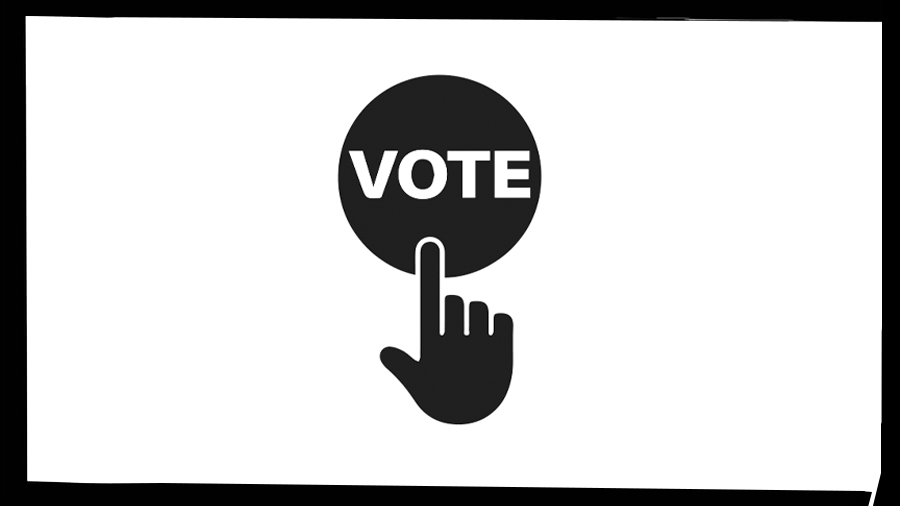 What motivates the voter