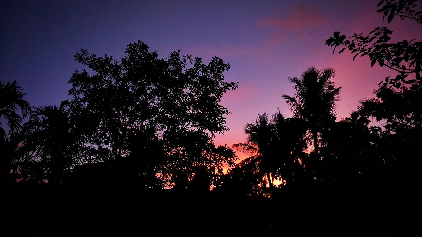Climate and biodiversity crises are entwined, but we risk pitting one against other