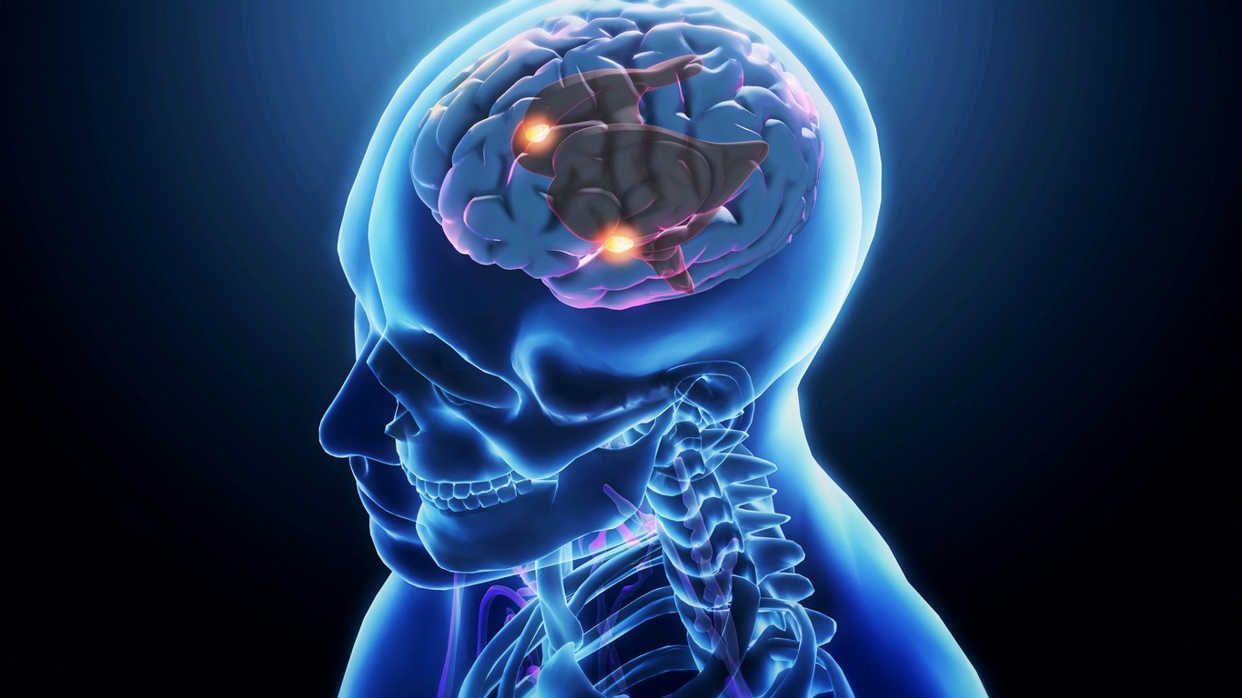 Hunting for food, escaping danger: Survival acts linked to brain's hypothalamus