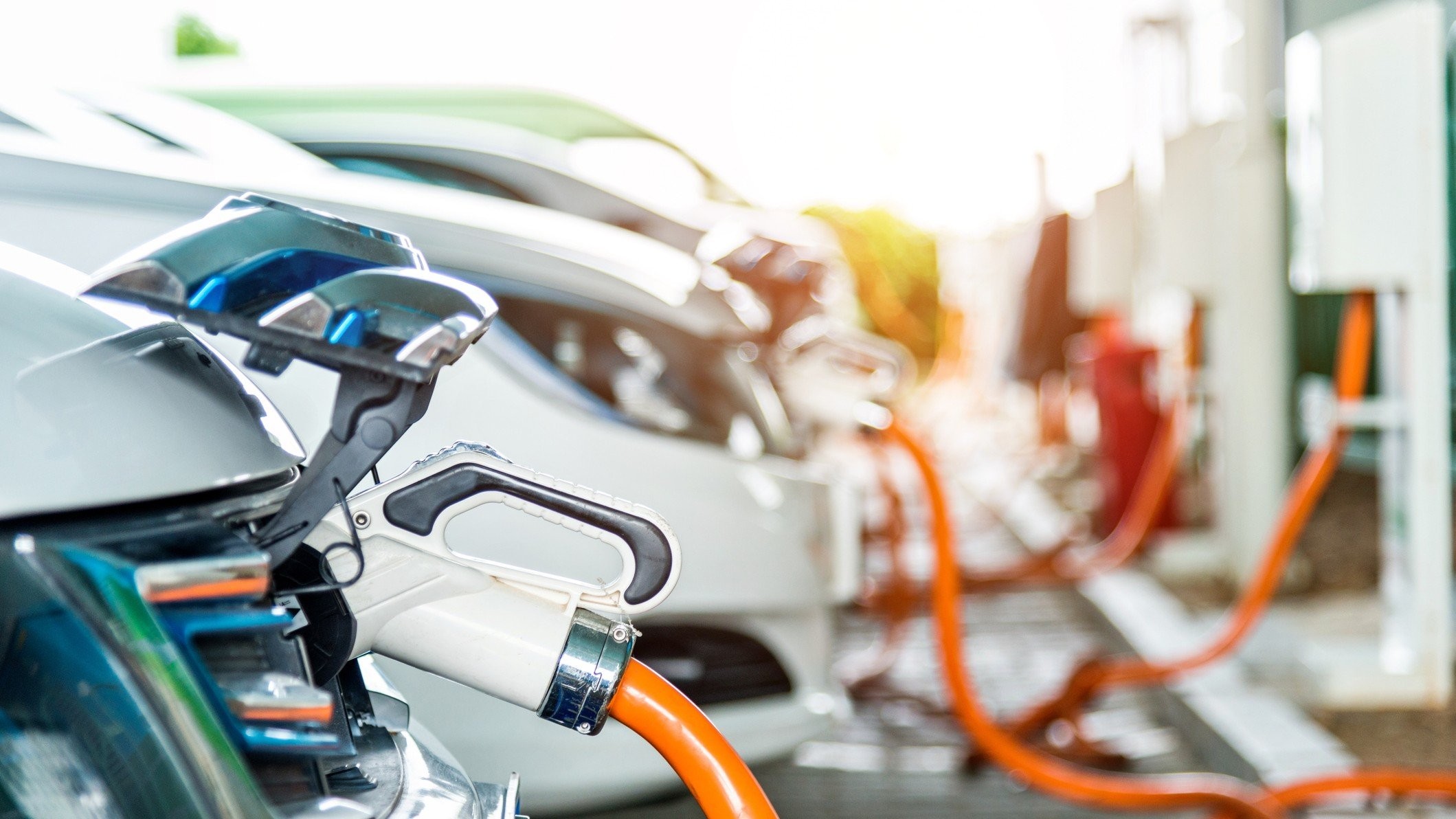 Policy and market synergy required for EV sector to thrive