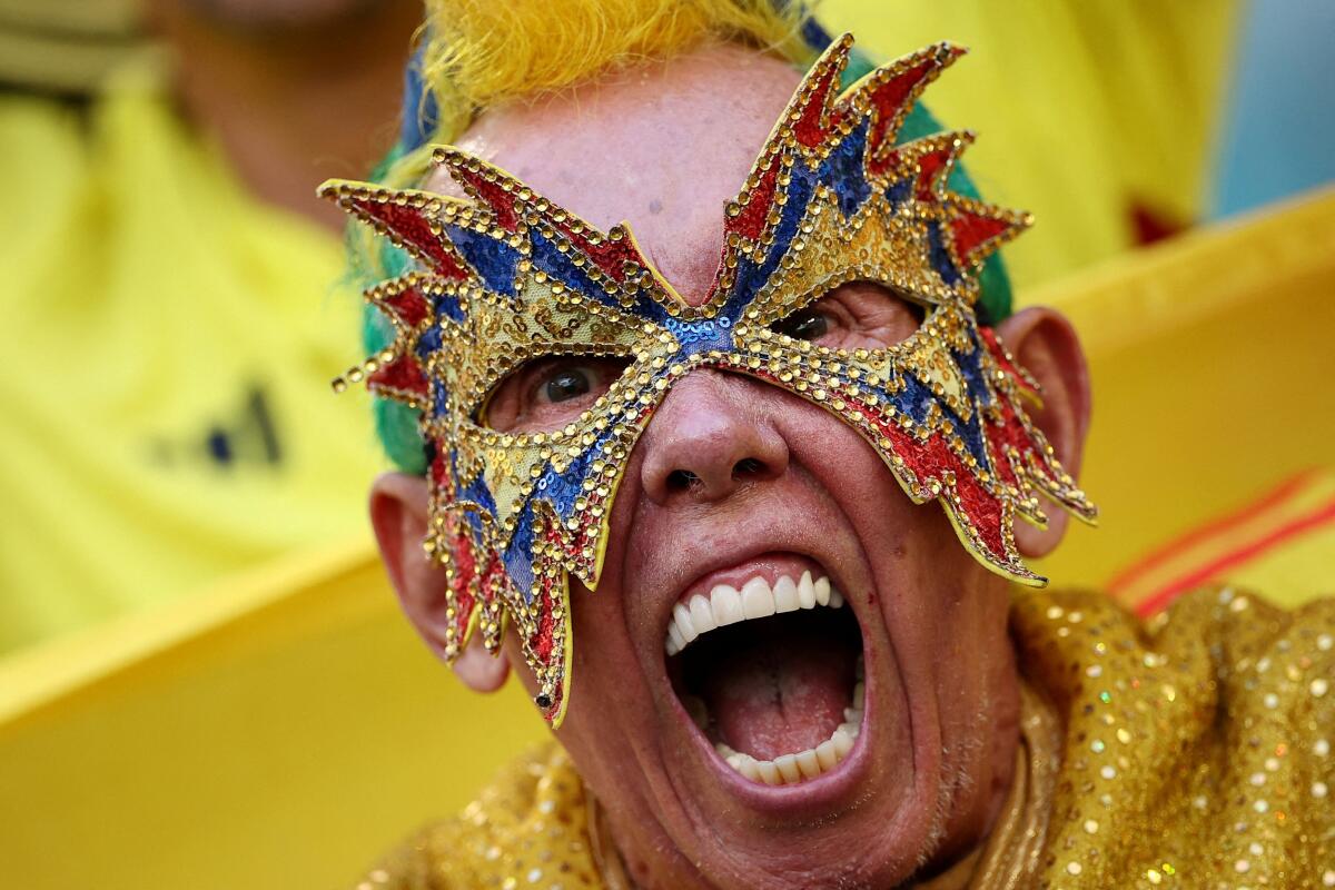 Colombia fan inside the stadium before the Copa America match.