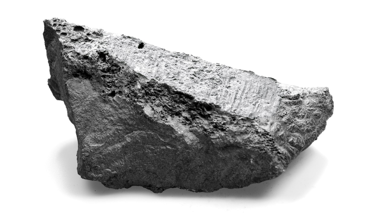India to seek licences to scout Pacific Ocean for critical minerals