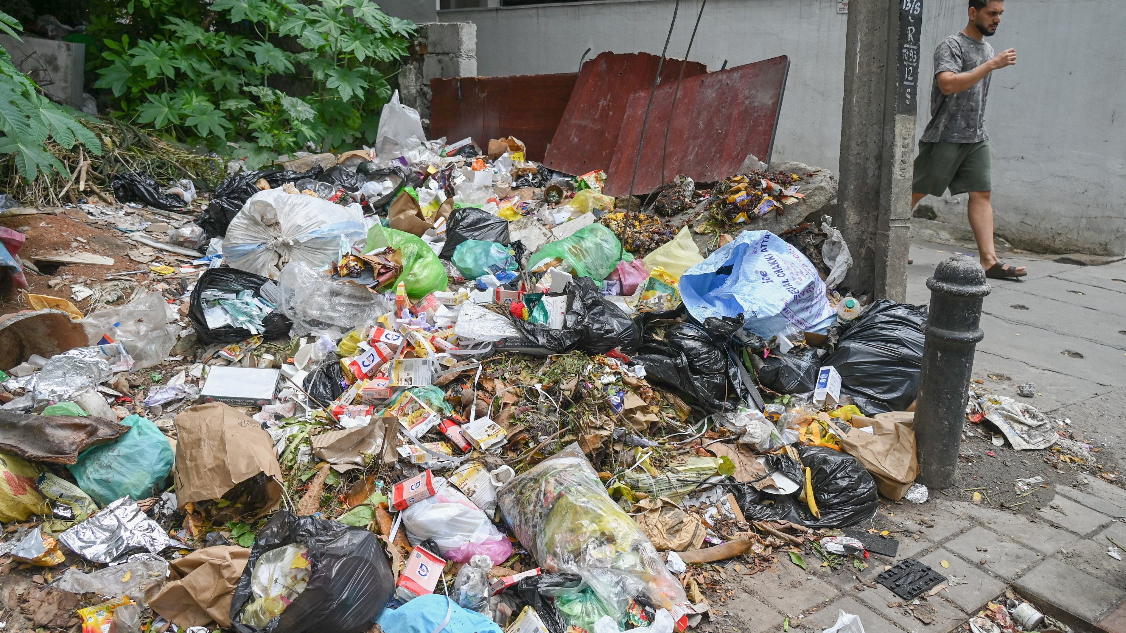 Garbage dumping, pest infestation: Halasuru residents stare at health crisis